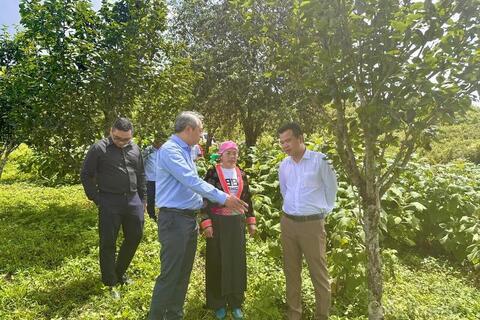 <a href="/cau-chuyen-kinh-doanh" title="Câu chuyện kinh doanh" rel="dofollow">Câu chuyện kinh doanh</a>