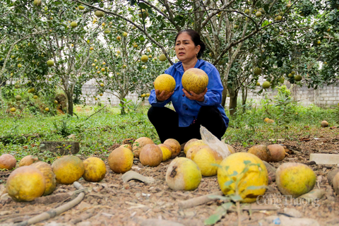 <a href="/cau-chuyen-kinh-doanh" title="Câu chuyện kinh doanh" rel="dofollow">Câu chuyện kinh doanh</a>