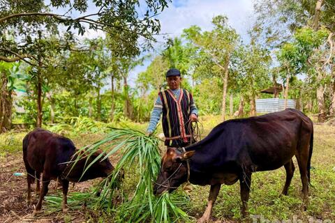 “Những cánh chim đầu đàn” ở các buôn làng xã Ea Hiao