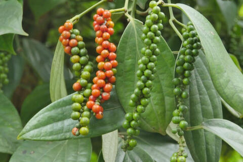 <a href="/cau-chuyen-kinh-doanh" title="Câu chuyện kinh doanh" rel="dofollow">Câu chuyện kinh doanh</a>