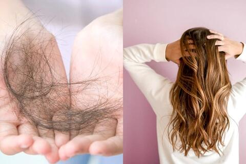 Bác sĩ da liễu lý giải nguyên nhân tóc thường gãy rụng mùa lạnh