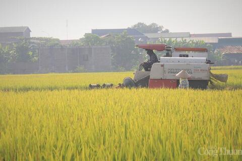 <a href="/cau-chuyen-kinh-doanh" title="Câu chuyện kinh doanh" rel="dofollow">Câu chuyện kinh doanh</a>