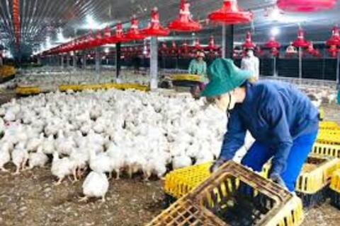 <a href="/cau-chuyen-kinh-doanh" title="Câu chuyện kinh doanh" rel="dofollow">Câu chuyện kinh doanh</a>