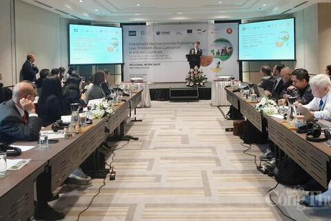 <a href="/thuong-hieu" title="Thương hiệu" rel="dofollow">Thương hiệu</a>