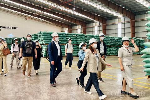 <a href="/thuong-hieu" title="Thương hiệu" rel="dofollow">Thương hiệu</a>