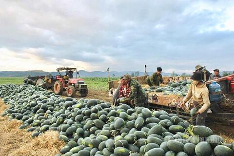 <a href="/cau-chuyen-kinh-doanh" title="Câu chuyện kinh doanh" rel="dofollow">Câu chuyện kinh doanh</a>