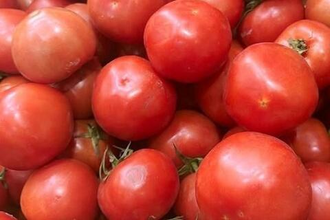 Người bệnh sỏi thận nên hạn chế ăn cà chua