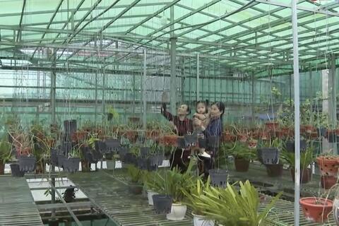 Xây dựng phường Ba Đồn thành cực tăng trưởng phía Bắc tỉnh Quảng Trị