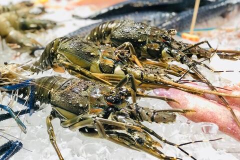 <a href="/thuong-hieu" title="Thương hiệu" rel="dofollow">Thương hiệu</a>