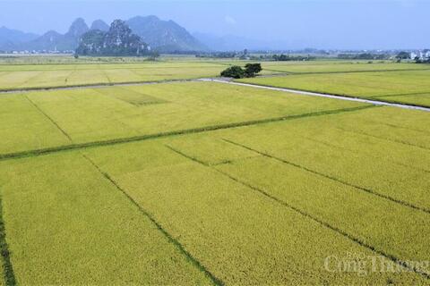 <a href="/cau-chuyen-kinh-doanh" title="Câu chuyện kinh doanh" rel="dofollow">Câu chuyện kinh doanh</a>