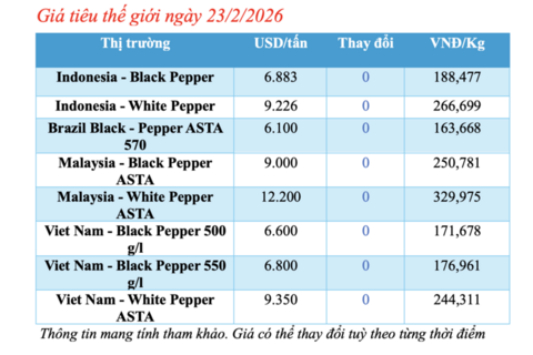 Giá tiêu hôm nay 23/2/2026: Bật tăng 1.000 đồng/kg