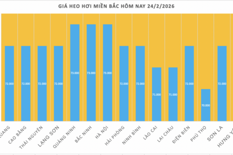 Giá heo hơi hôm nay 24/2/2026: Giảm vài nơi tại miền Trung và miền Nam