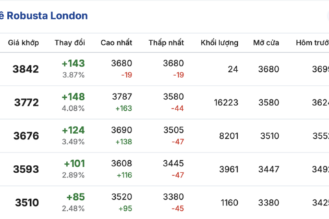 Giá cà phê hôm nay 3/3/2026: Giảm nhẹ