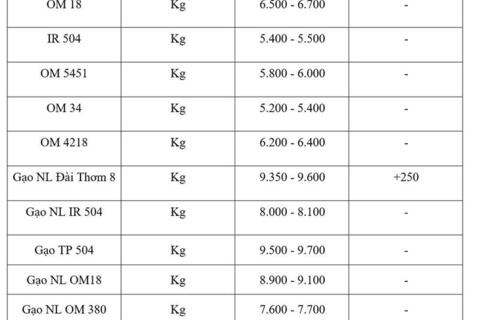 Giá lúa gạo hôm nay ngày 3/3/2026: Gạo Đài Thơm 8 tăng