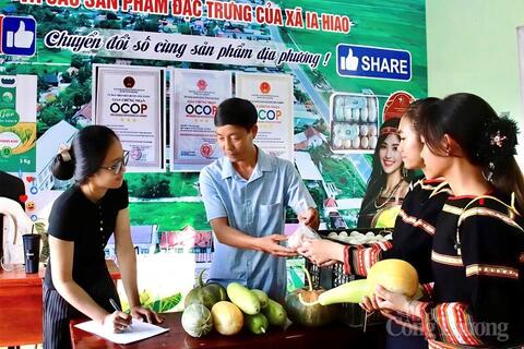 Gia Lai: Lãnh đạo xã lên sóng bán nông sản, gây quỹ cho 1.000 học sinh