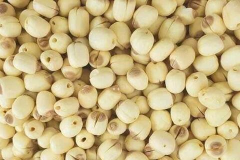 Suy thận có nên hạn chế ăn hạt sen không?