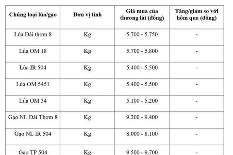 Giá lúa gạo hôm nay ngày 4/4: Gạo xuất khẩu tăng mạnh
