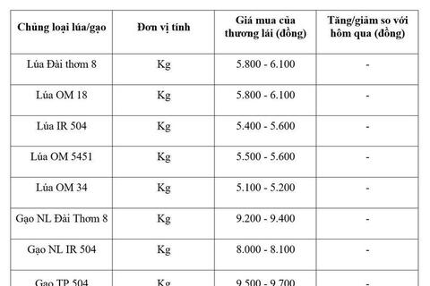 Giá lúa gạo hôm nay ngày 11/4: Thị trường ít biến động