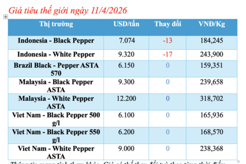 Giá tiêu hôm nay 11/4/2026: Trong nước đồng loạt tăng 500 đồng/kg