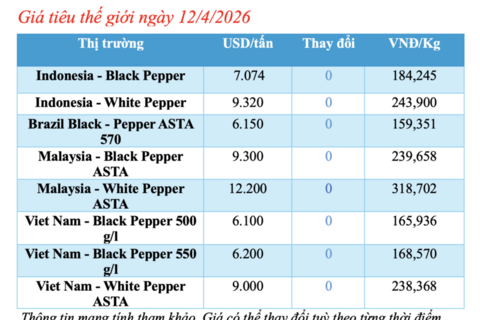 Giá tiêu hôm nay 12/4/2026: Dao động từ 138.500 - 139.500 đồng/kg