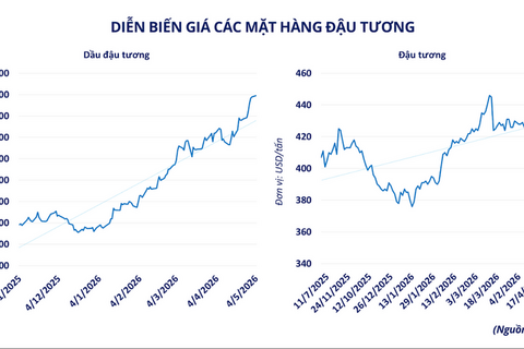 Giá đậu tương tăng hơn 2% lên 442 USD/tấn
