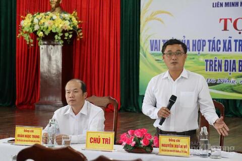 Đà Nẵng: Để hợp tác xã là ‘mắt xích’ trong chuỗi sản xuất lúa giống