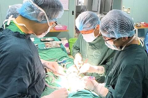 Bé trai 11 tuổi suýt mất chân vì tụ cầu vàng tấn công xương đùi