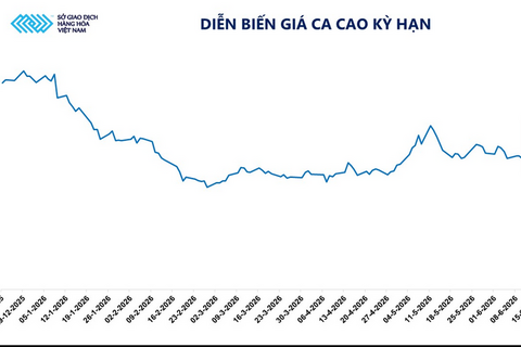 Giá ca cao tăng vọt hơn 9% trước rủi ro nguồn cung