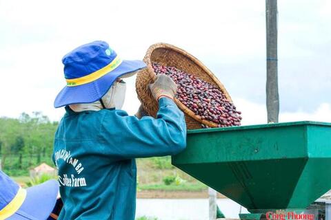 Gia Lai thu hút thêm gần 1.620 tỷ đồng vốn đầu tư chỉ trong một tuần