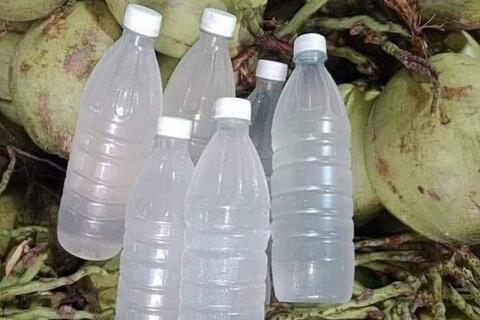 Những lưu ý khi thường xuyên uống nước dừa để tốt cho cơ bắp
