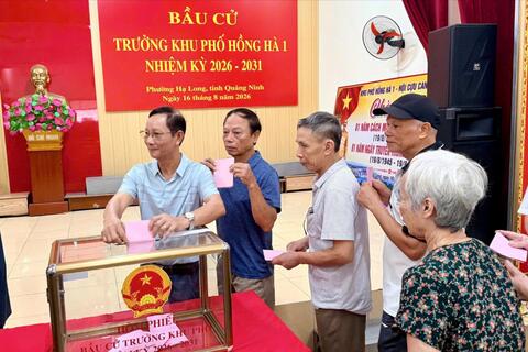 Hơn 357.000 cử tri Quảng Ninh đã đi bầu trưởng thôn, bản, khu phố