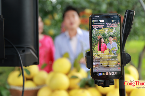 Hà Tĩnh: Đưa nông sản OCOP vươn xa qua phiên Mega Live