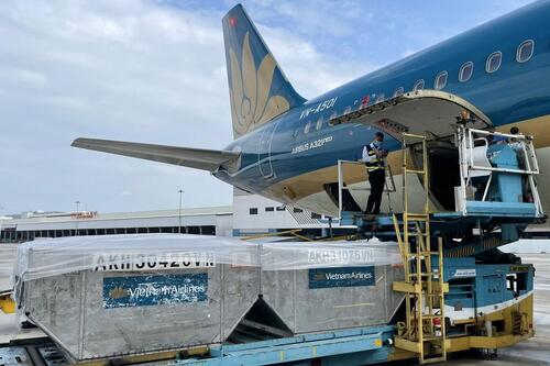 Vietnam Airlines: Sẵn sàng huy động mọi nguồn lực vận chuyển hàng hóa, thiết bị y tế Vietnam Airlines: Sẵn sàng huy động mọi nguồn lực vận chuyển hàng hóa, thiết bị y tế