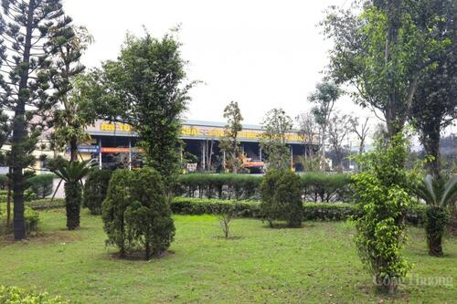 Công ty Tuyển than Hòn Gai: Hành động vì môi trường sáng - xanh - sạch