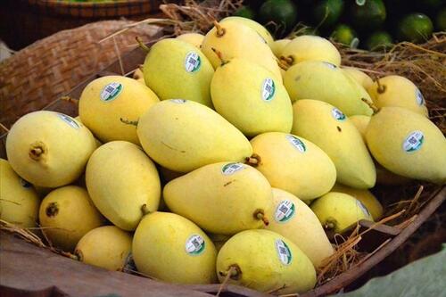 6 lợi ích ít được biết đến của xoài khi ăn vào mùa hè