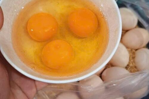 5 siêu thực phẩm nhiều protein hơn trứng