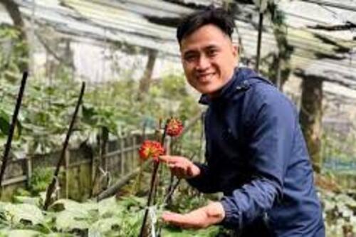 Kỹ sư bỏ công trường về vùng núi giúp bà con phát triển nguồn dược liệu
