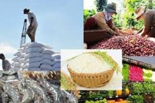 Vì sao nông sản Việt mãi xuất thô? Vì sao nông sản Việt mãi xuất thô?