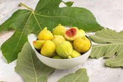 9 loại thực phẩm lên men giúp hệ tiêu hóa khỏe mạnh hơn mỗi ngày