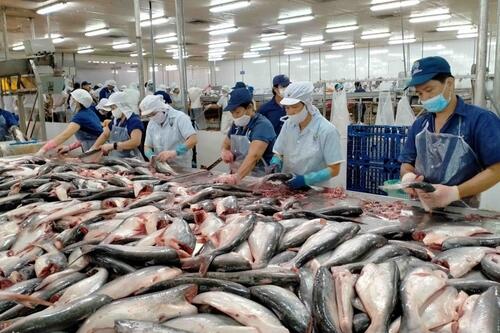 Xuất khẩu thủy sản tăng mạnh nhất ở thị trường Brazil