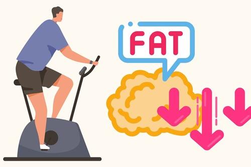 Bài tập giúp đốt cháy mỡ bụng nhanh chóng cho đàn ông sau 50 tuổi