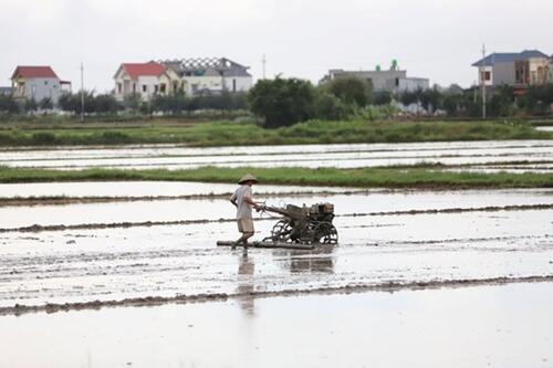 Cá nhân có thể nhận chuyển nhượng tới 150 hecta đất nông nghiệp