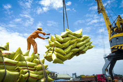 Bộ Công Thương lấy ý kiến dự thảo nghị định thay thế các nghị định về xuất khẩu gạo
