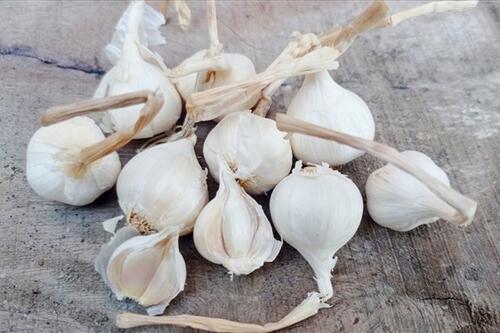 Thực phẩm giàu chất chống oxy hóa giúp kiểm soát đường huyết