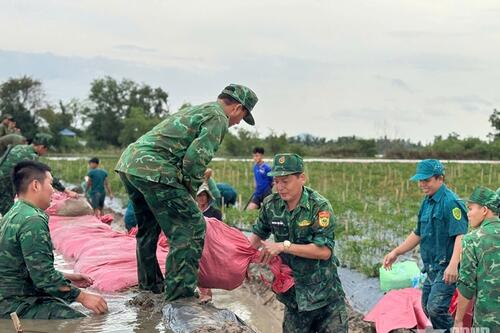 An Giang: Bộ đội Biên phòng khẩn trương giúp dân đắp đê bao chống lũ