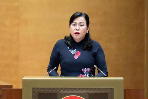 Đề xuất quy định quản lý khoáng sản chiến lược và đất hiếm