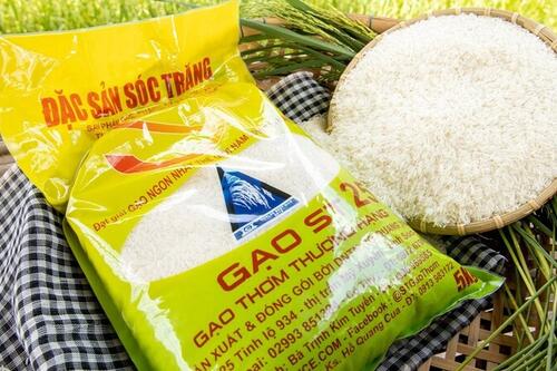 ST25 lần 3 đoạt 'Gạo ngon nhất thế giới': Vì sao?