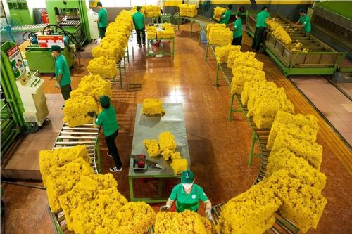 Đồng Nai vào cuộc sớm thích ứng Quy định EUDR của Liên minh châu Âu