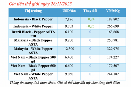 Giá tiêu hôm nay 26/11/2025: Tăng nhẹ cục bộ