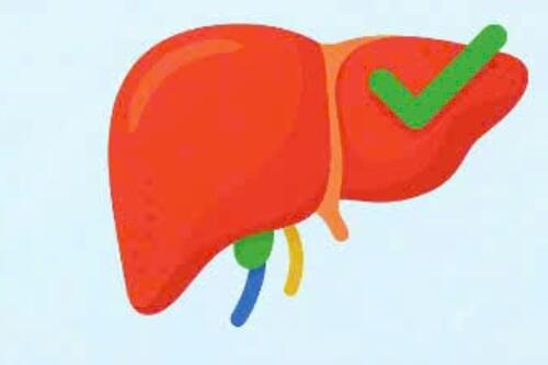 11 loại thực phẩm quen thuộc giúp hỗ trợ giải độc gan phòng ngừa bệnh tật